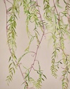 ARTIFICIAL Hoya hang green 120 cm 