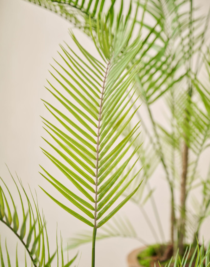 ARTIFICIAL Palm I/Pot green 120 cm