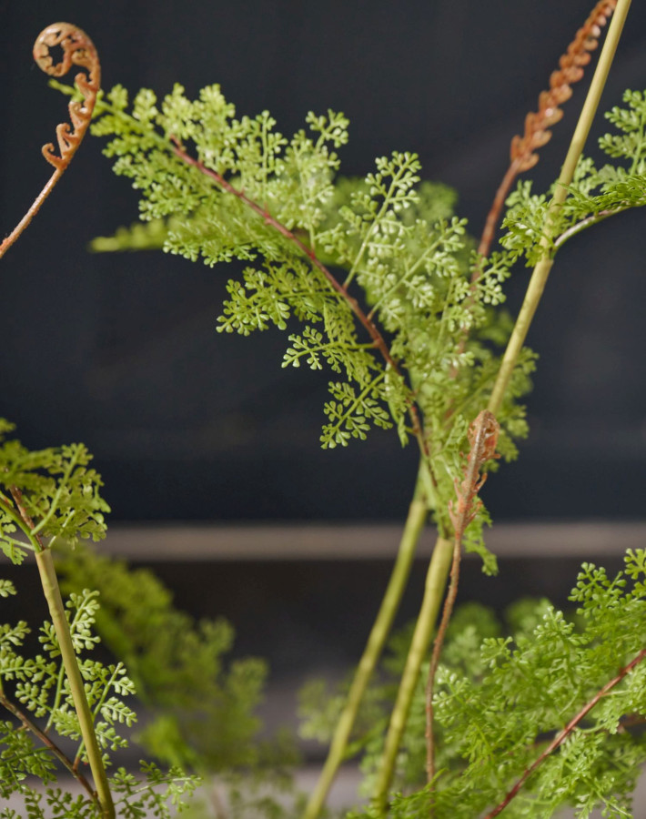 ARTIFICIAL Fern O/Soil green 122 cm