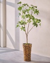 ARTIFICIAL Schefflera I/Pot green 180 cm