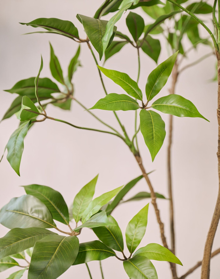 ARTIFICIAL Schefflera I/Pot green 180 cm