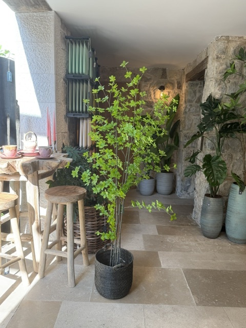 ARTIFICIAL Bucida 152 cm 