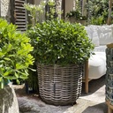 BASKET JULIA Planter Medium
