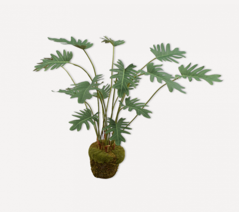 ARTIFICIAL Philodendron 56 cm 