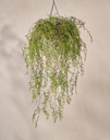 ARTIFICIAL Hoya hang green 120 cm 