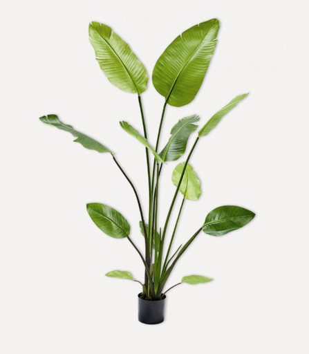 [48190] ARTIFICIAL Strelitzia 150 cm