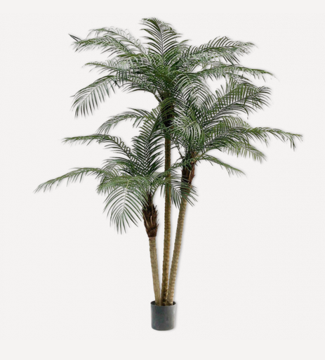 [48357] ARTIFICIAL Green palm triple stem185 cm