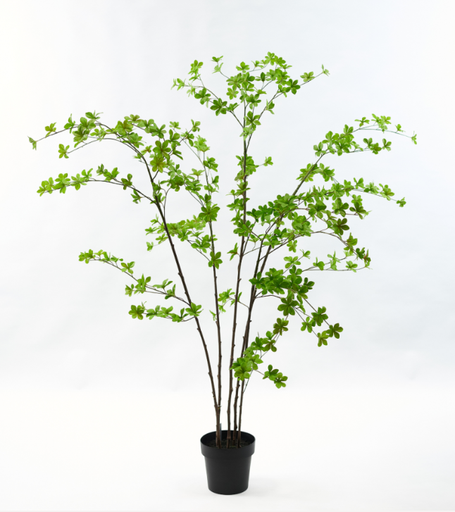 [48471] ARTIFICIAL Bucida 235 cm