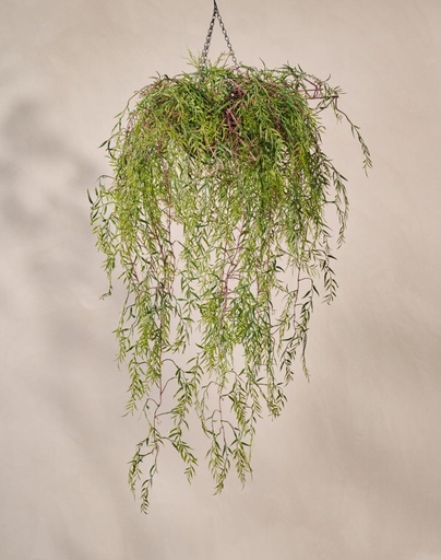 [68443] ARTIFICIAL Hoya hang green 120 cm 